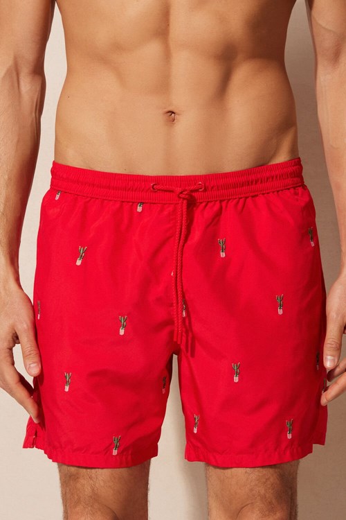 Print - 258j - Red Cactus Embroidery Intimissimi Embroidered Cactus Swim Trunks | UPBH-10835