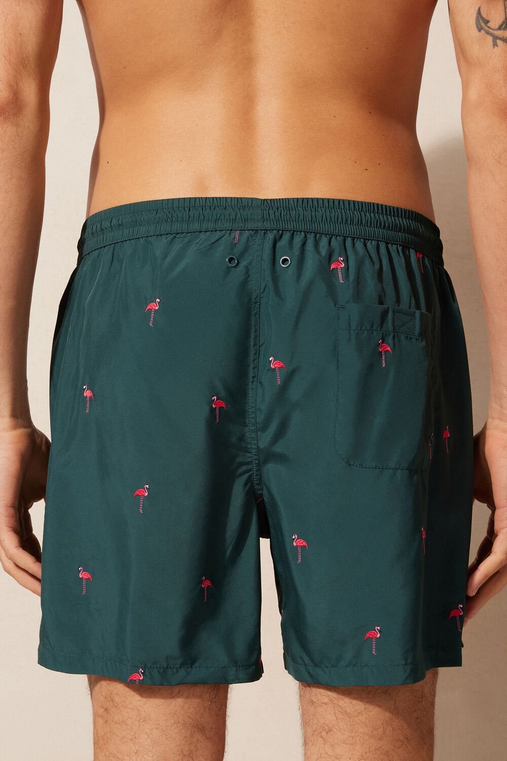 Green - 254j - Dark Green Flamingo Embroidery Intimissimi Embroidered Flamingo Swim Trunks | EHTW-54293