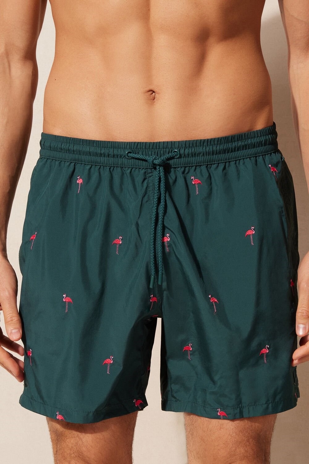 Green - 254j - Dark Green Flamingo Embroidery Intimissimi Embroidered Flamingo Swim Trunks | EHTW-54293