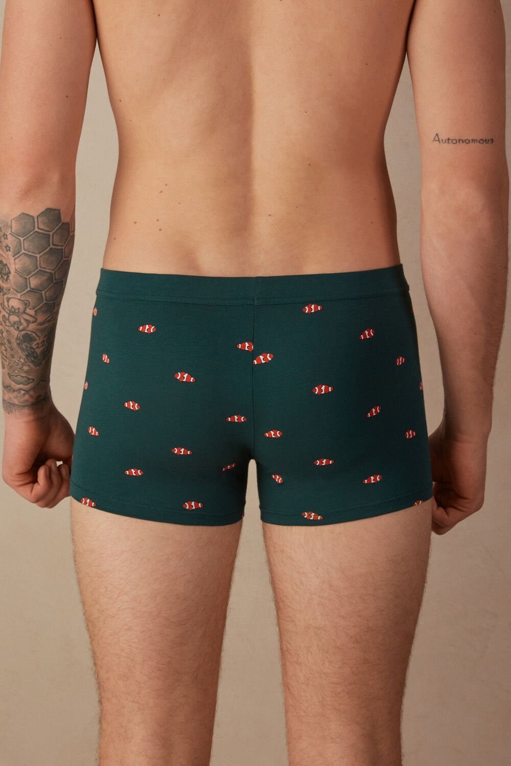 Green - 308j - Dark Green Clownfish Print Intimissimi Clownfish Boxers in Natural Fresh Supima® Cotton | VTFO-63812