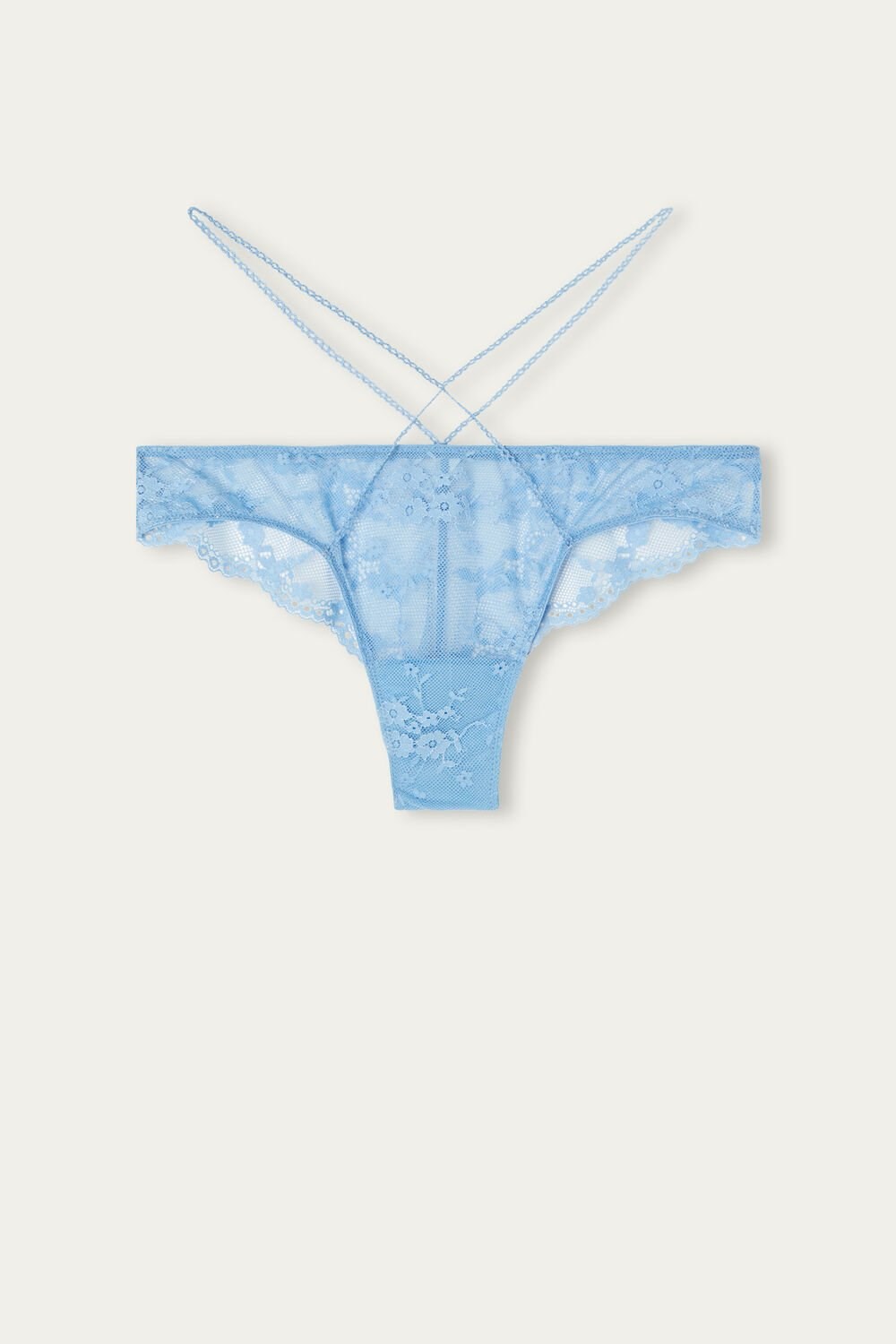 Light Blue - 211j - Light Blue Hydrangea Intimissimi Feeling Beautiful Brazilian | GHKI-58309