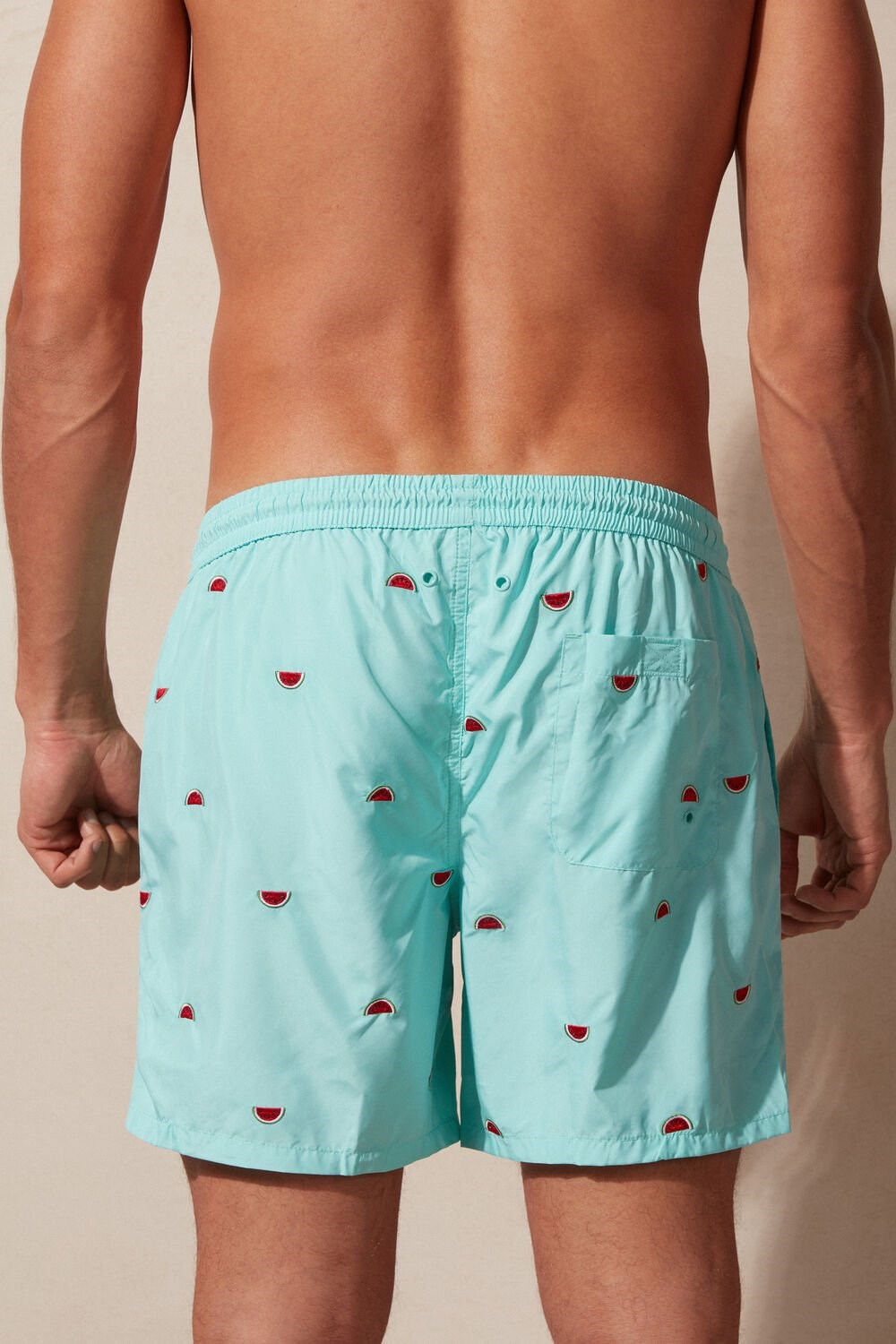 Print - 255j - Aqua Green Watermelon Embroidery Intimissimi Embroidered Watermelon Swim Trunks | CLGQ-67315