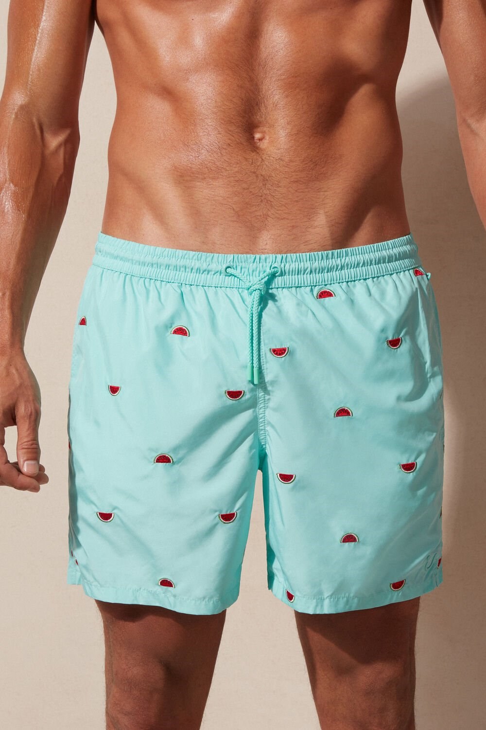 Print - 255j - Aqua Green Watermelon Embroidery Intimissimi Embroidered Watermelon Swim Trunks | CLGQ-67315