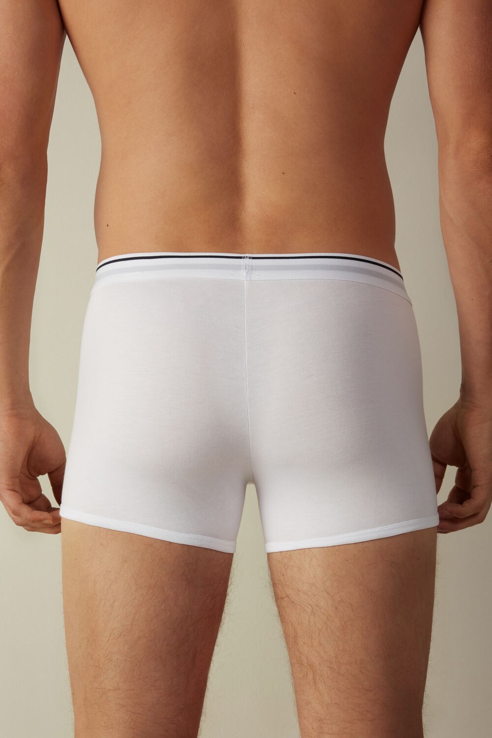 White - 6986 - White / Blue Intimissimi Supima® Cotton Boxers | SFVT-18679